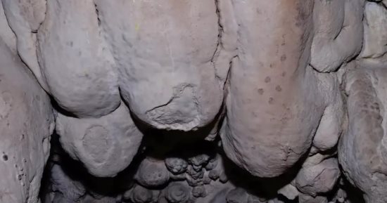 فن صخري من العصر الحجري القديم تم العثور عليه في كهف سيمانيا بإسبانيا