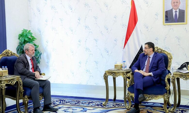 رئيس الوزراء يناقش مع اليونيسف التدخلات الإنسانية في اليمن