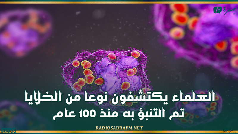 العلماء يكتشفون نوعا من الخلايا تم التنبؤ به منذ 100 عام!